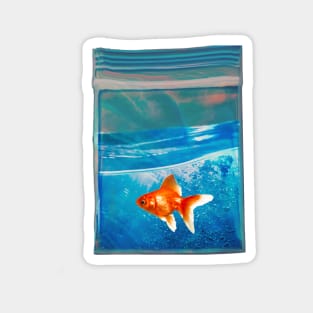 Fish Baggie Magnet