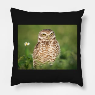 Burrowing Owl Pillow