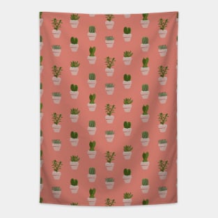 Cacti & Succulents - Pink Tapestry