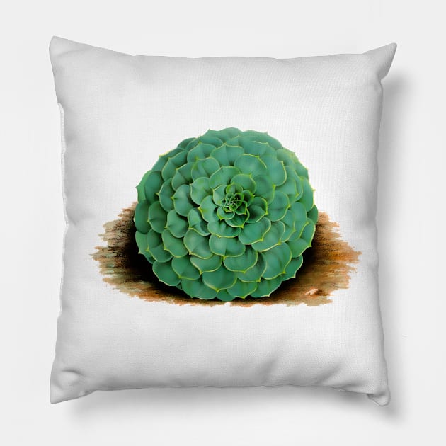 green flower Pillow by Marccelus