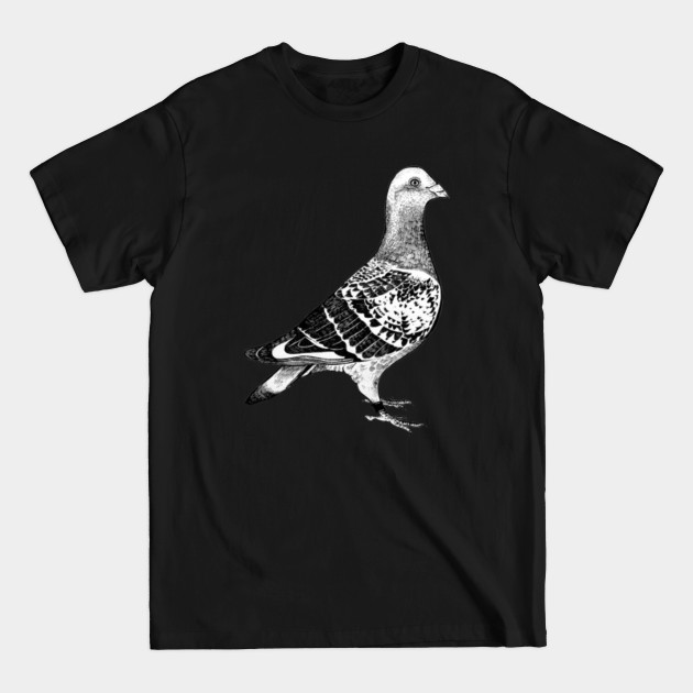 Discover Pigeon - Pigeon - T-Shirt