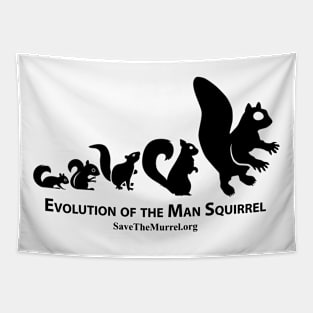 Evolution of the Man Squirrel Tapestry