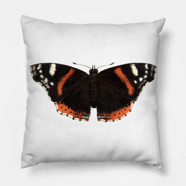 Red Admiral Pillow by JadaFitch