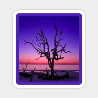 Purple Sunrise Magnet