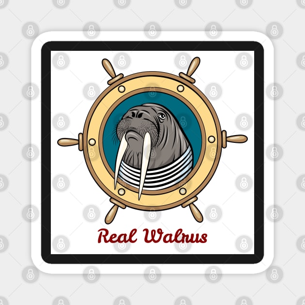 Walrus in seaman shirt against steering wheel drawn in cartoon style. Magnet by devaleta