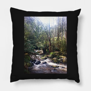 Toorongo River, Noojee Pillow