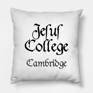 Cambridge Jesus College Medieval University Pillow