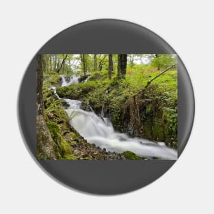 Lake District Beck Pin