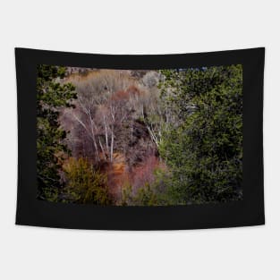 Simply Art of Nature Tapestry