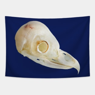 Side view of a Barn Owl skull Tapestry