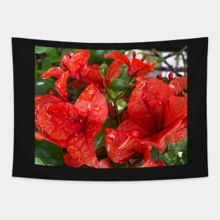 Natural Red Christmas Rain Cups Tapestry
