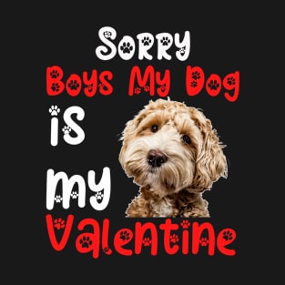 sorry Boys My Dog Is My Valentine T-Shirt