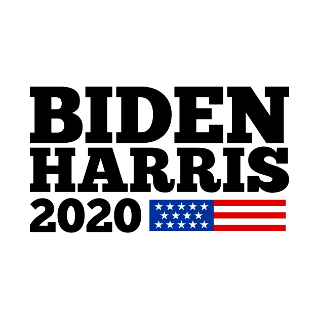 biden harris 2020 by night sometime