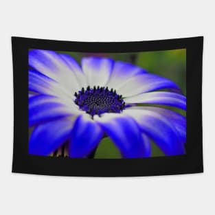 HDR Senetti #4 Tapestry