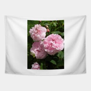 Rose Flower Blush Pink Tapestry