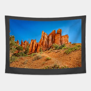 Bryce Canyon National Park Tapestry
