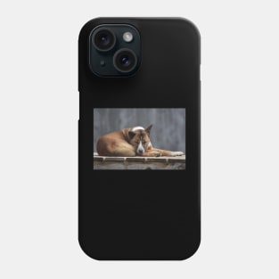 Dingo Phone Case