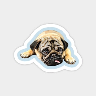 Pug -Cute Funny Dog Magnet