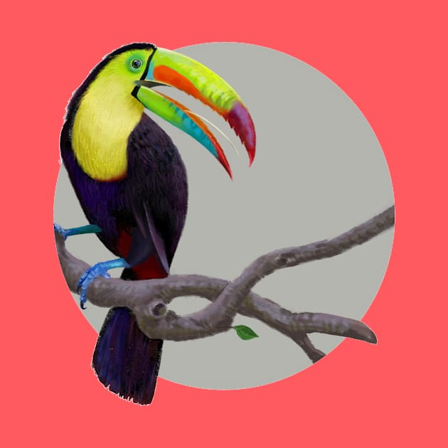 Keel-Billed Toucan by Oniomsra