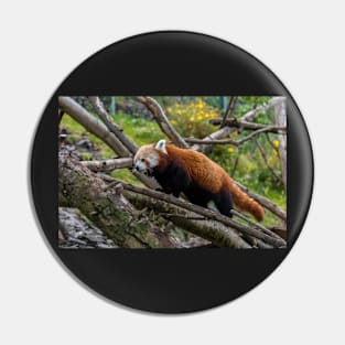 Red Panda Pin