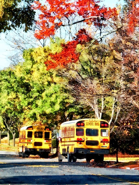 Teachers - Parked School Buses Kids T-Shirt by SusanSavad