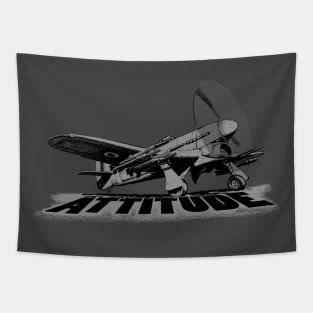 Tailwheel Aircraft with Attitude Tapestry