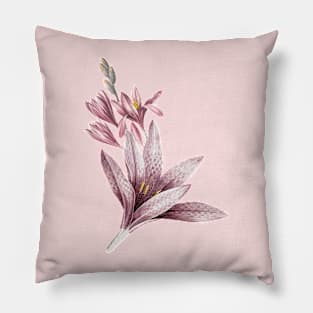 Pink Amaryllis Flowers Pillow