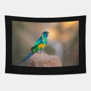 Mallee Ring-Necked Parrot, Arkaroola, South Australia Tapestry