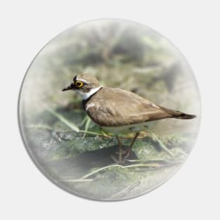 Little ringed plover Pin