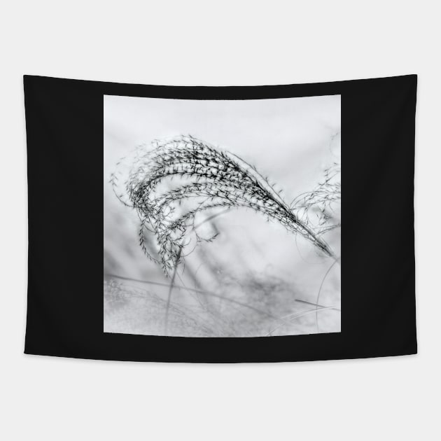 Ornamental Grass Black And White photograph Tapestry by art64