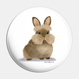 Lionhead Rabbit Pin