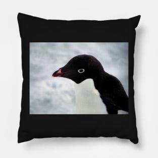 Adelie Penguin Portrait, Cape Adare, Antarctica Pillow