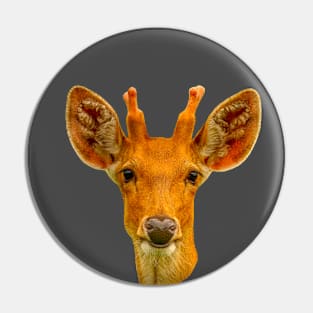 Barasinga deer Pin