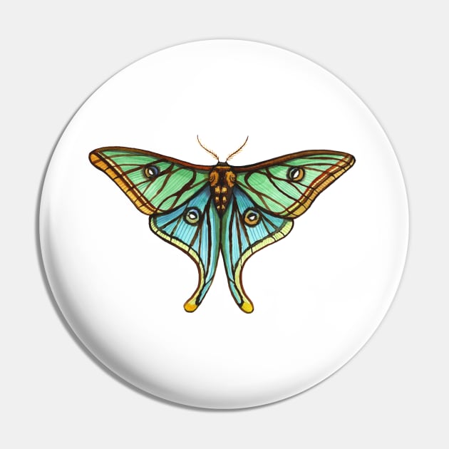 Marvelous Spanish Moon Moth Pin by JCPhillipps