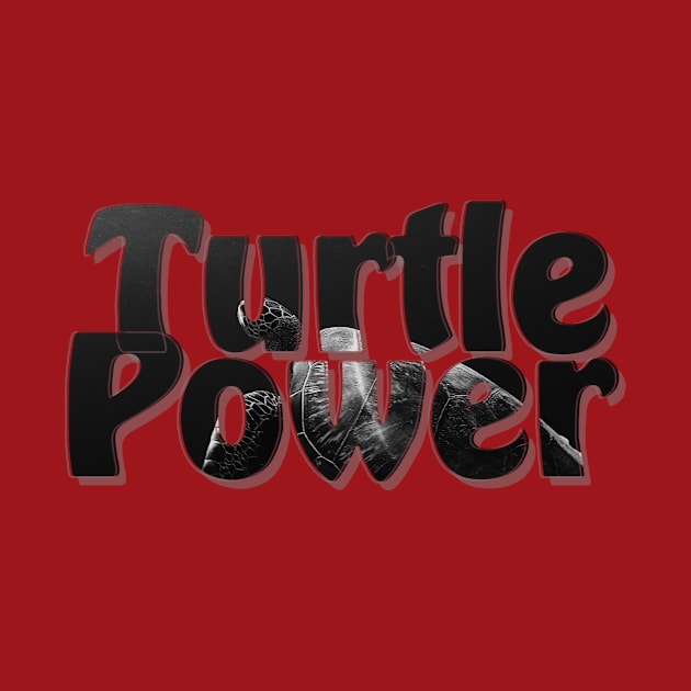 Turtle Power by afternoontees