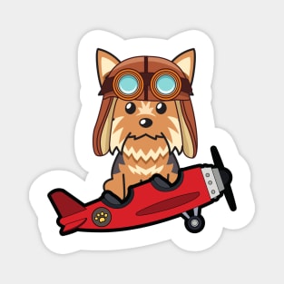 Cute yorkshire terrier is in a vintage plane Magnet