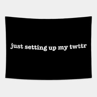 just setting up my twttr Tapestry