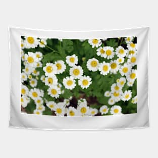 chamomile flowers Tapestry