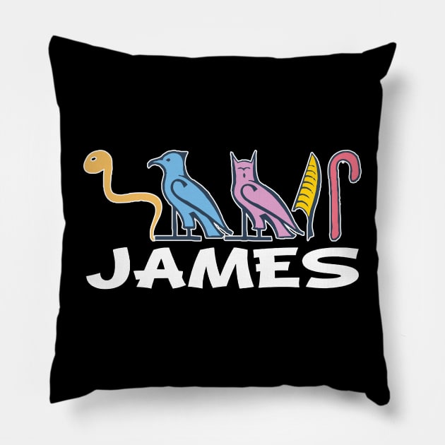 JAMES-American names in hieroglyphic letters-James, name in a Pharaonic Khartouch-Hieroglyphic pharaonic names Pillow by egygraphics