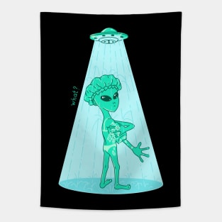 alien in the shower Tapestry