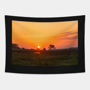 Sunset over the meadow Tapestry