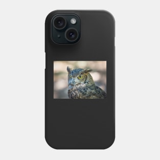 Owl Portrait, Grants Pass, Oregon, 2016 Phone Case