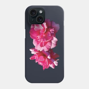 Roses - Two Pink Roses Phone Case