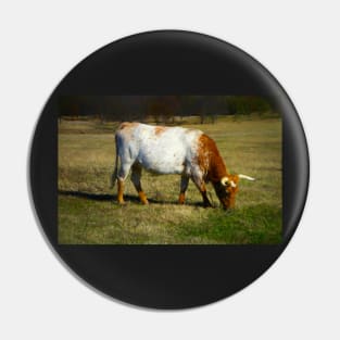 Longhorn Cow Grazing Pin