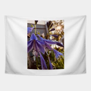 Periwinkle Haze Tapestry