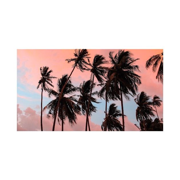 Tropical Sunset Palm Trees by NewburyBoutique