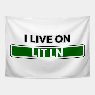 I live on Lit Ln Tapestry
