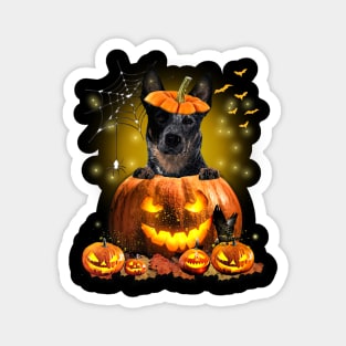 Blue Heeler Spooky Halloween Pumpkin Dog Head Gift Magnet