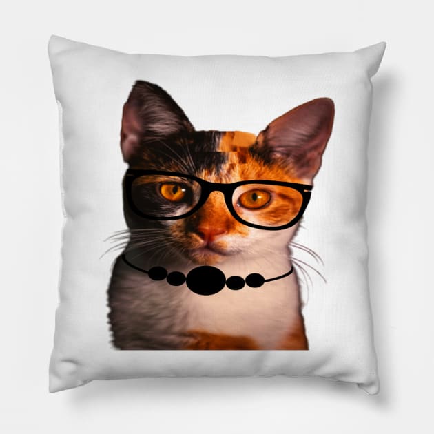 Gato con gafas Pillow by WilsonQR