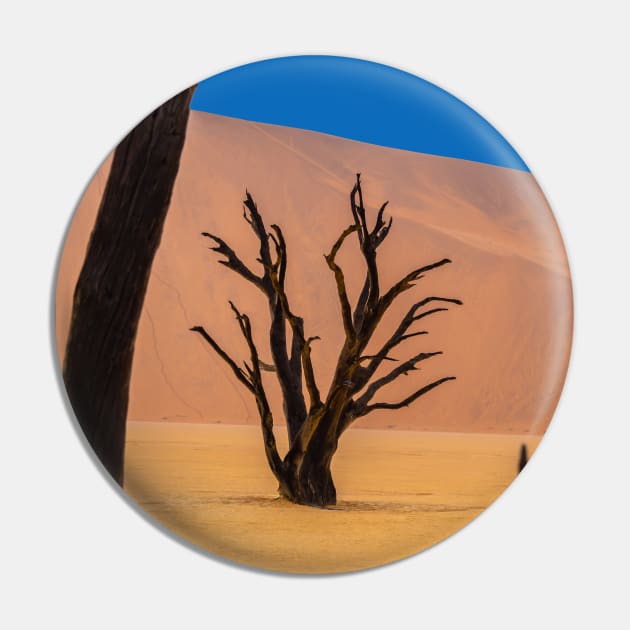 Namibia. Namib-Naukluft National Park. Deadvlei. Framed Dead Trees. Pin by vadim19